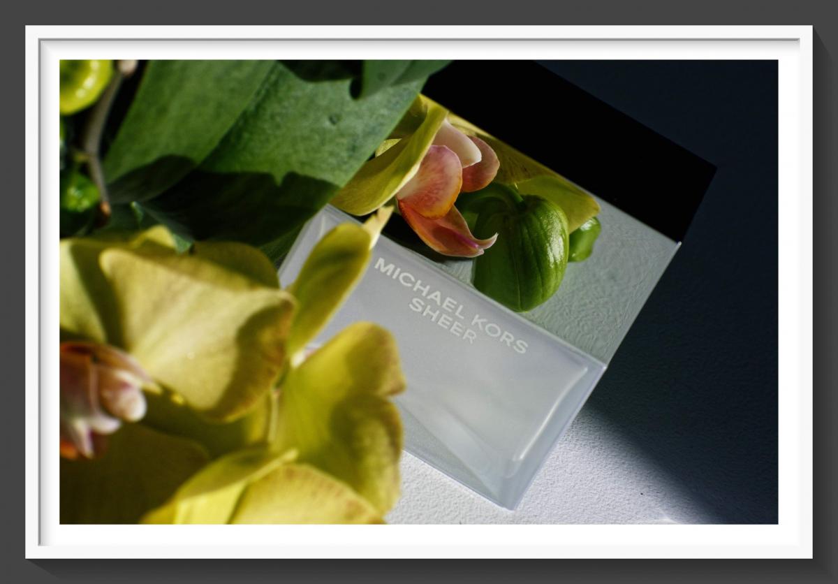 عطر ادکلن مایکل شیر مایکل کورس - Michael Sheer Michael Kors - بررسی، قیمت و خرید