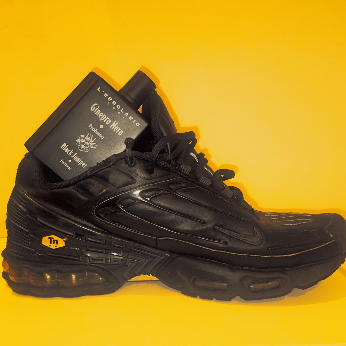 عطر ادکلن جینپرو نرو لربولاریو - Ginepro Nero L'Erbolario - بررسی، قیمت و خرید