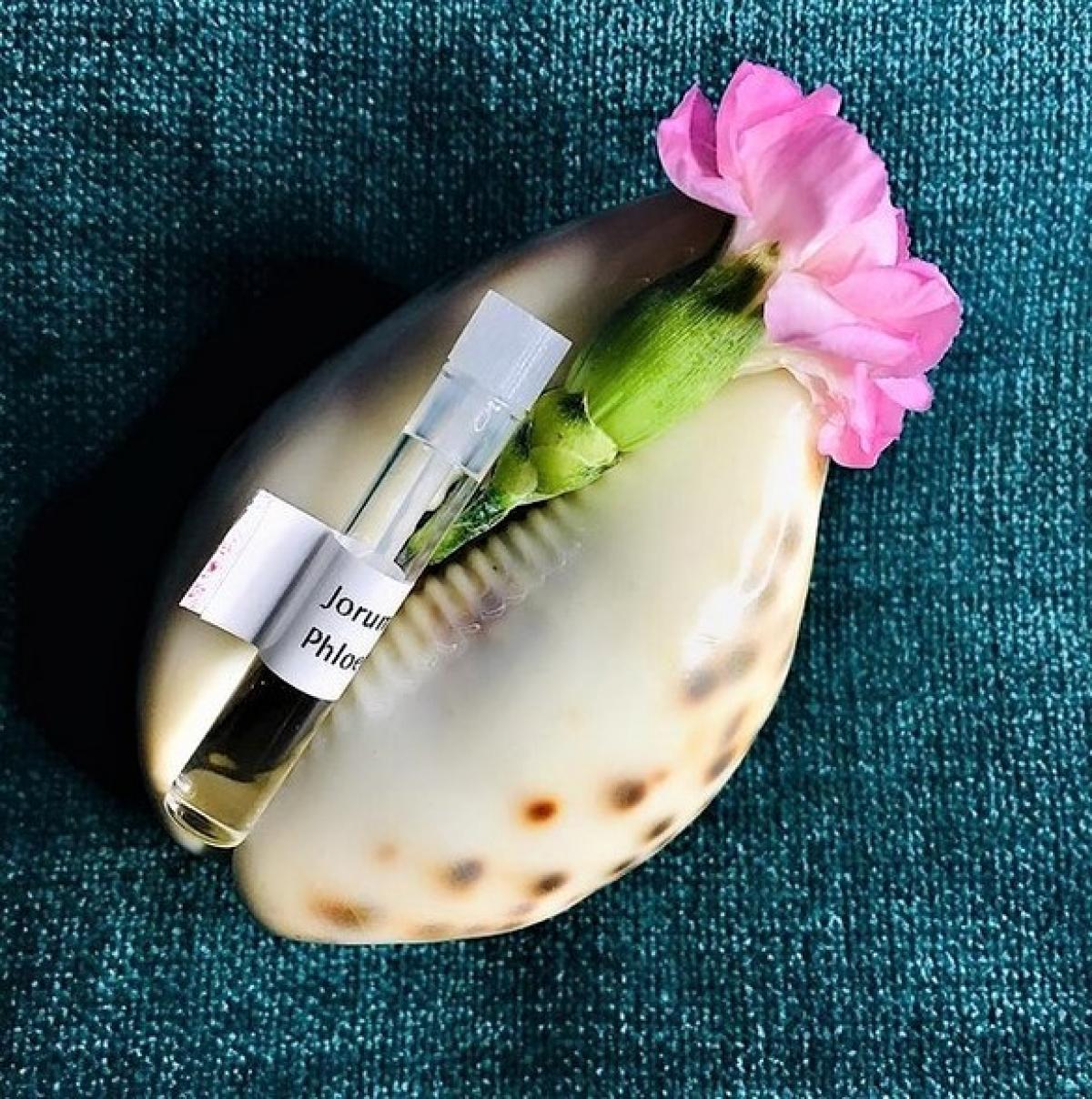 عطر ادکلن فلوئم جوروم استودیو - Phloem Jorum Studio - بررسی، قیمت و خرید