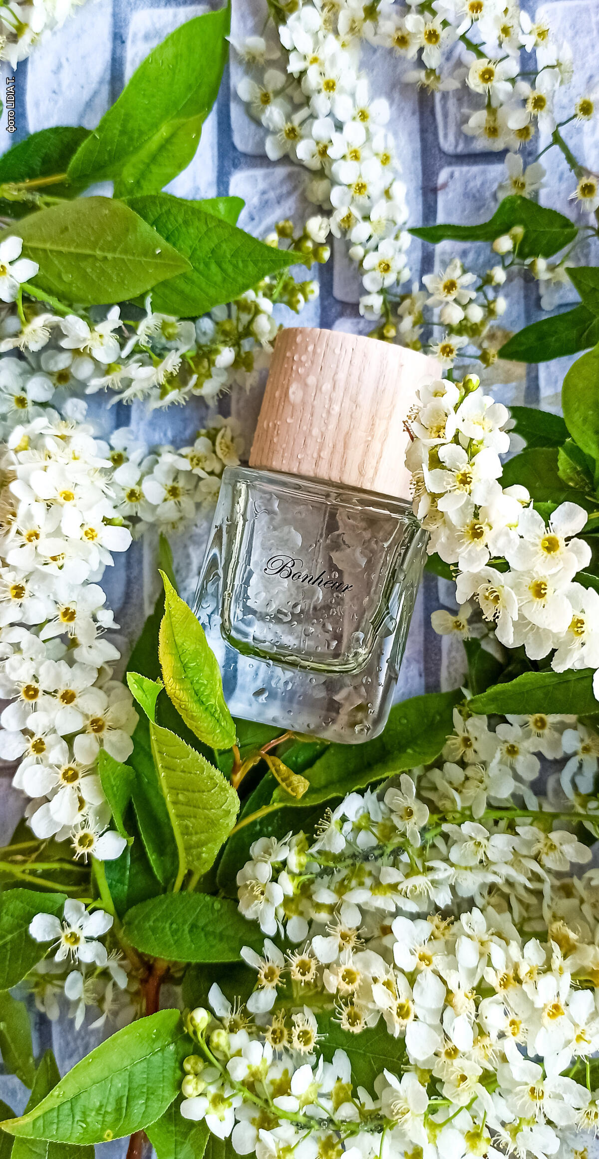 عطر ادکلن بونور لِ کُنت - Bonheur Les Contes - بررسی، قیمت و خرید