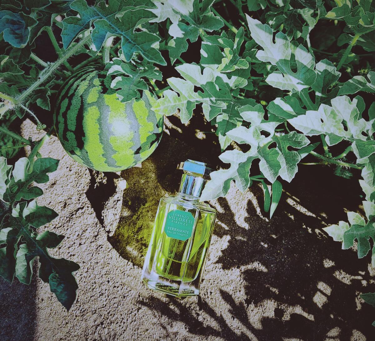 عطر ادکلن یرمیت لورنتزو ویلوریزی - Yerbamate Lorenzo Villoresi - بررسی، قیمت و خرید