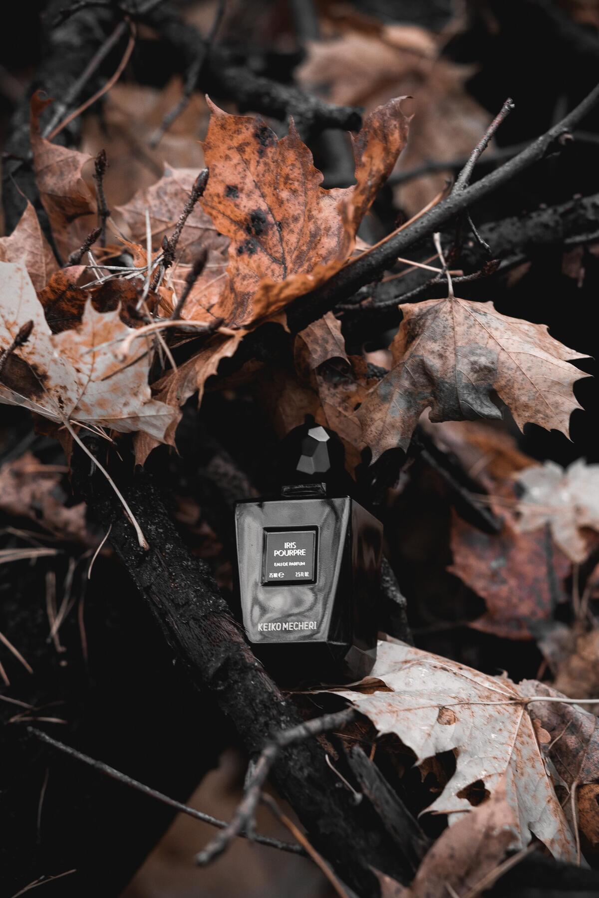 عطر ادکلن آیریس پورپ کیکو ماچری - Iris Pourpre Keiko Mecheri - بررسی، قیمت و خرید