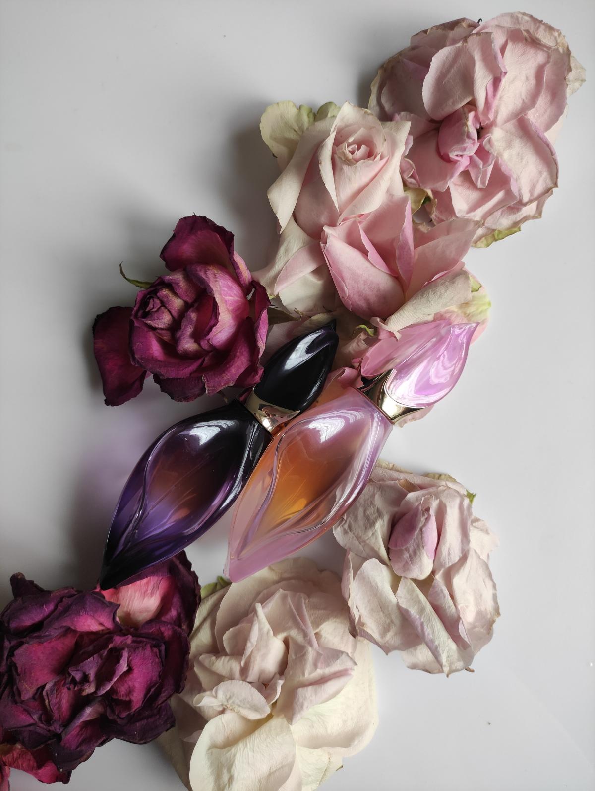 عطر ادکلن لوکوم او پودره کیکو میچری - Loukhoum Eau Poudree Keiko Mecheri - بررسی، قیمت و خرید