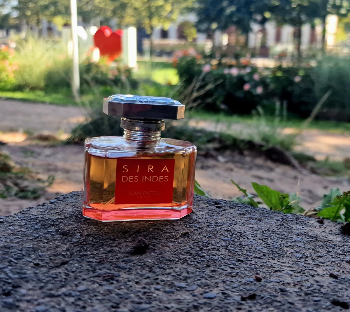 عطر ادکلن سیرا دز اندس ژان پَتو - Sira des Indes Jean Patou - بررسی، قیمت و خرید