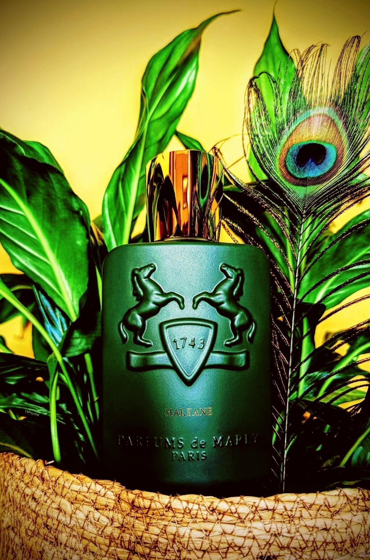 عطر ادکلن هالتین پرفیوم دی مارلی - Haltane Parfums de Marly - بررسی، قیمت و خرید
