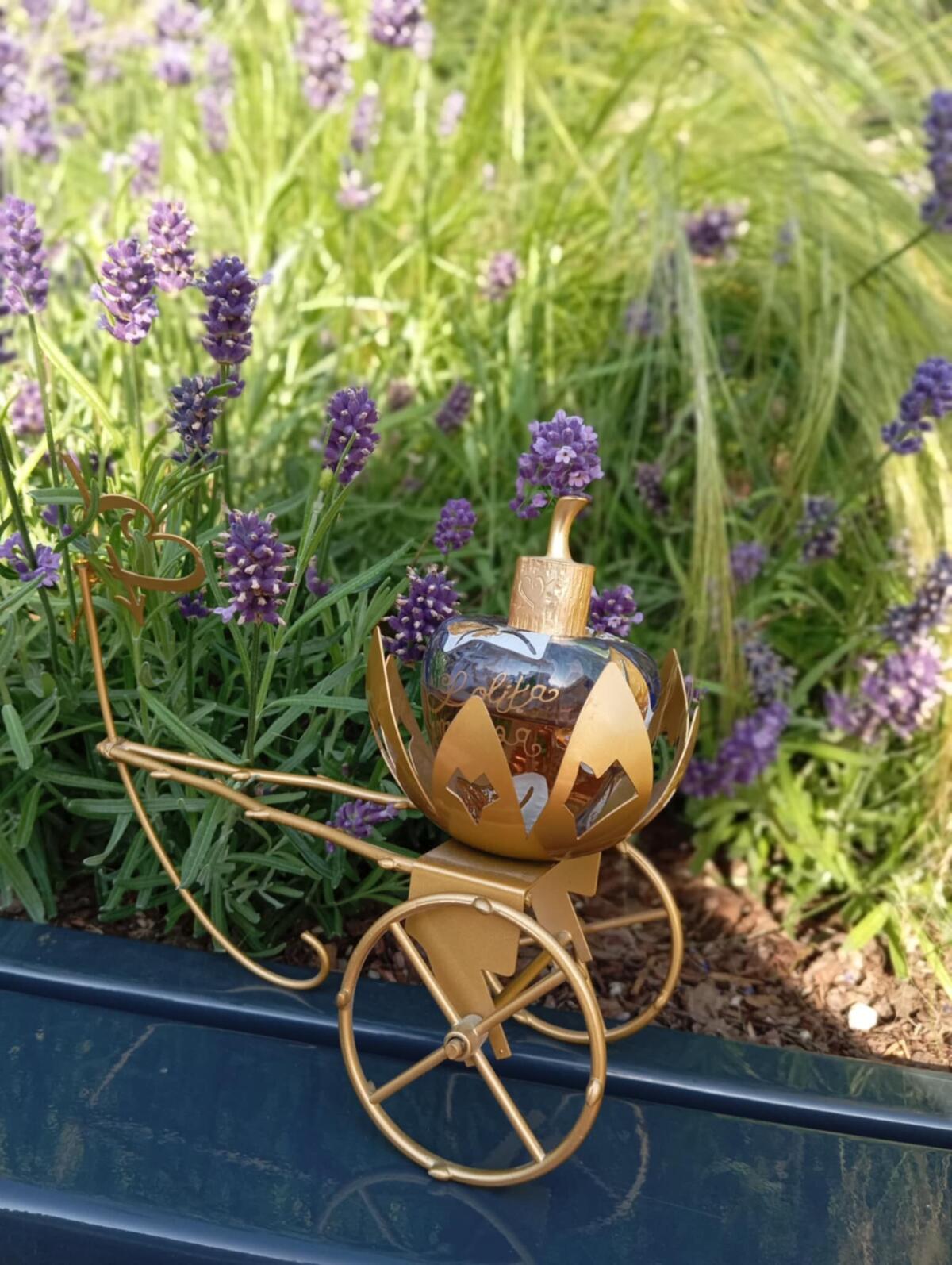 عطر ادکلن لولیتا لمپیکا لولیتا لمپیکا - Lolita Lempicka Lolita Lempicka - بررسی، قیمت و خرید