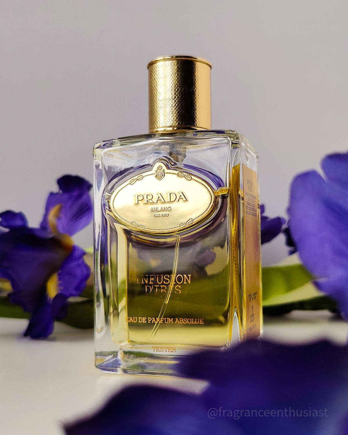 عطر ادکلن اینفیوژن دی آیریس او دو پارفوم ابسولو پِرادا - Infusion d'Iris Eau de Parfum Absolue Prada - بررسی، قیمت و خرید