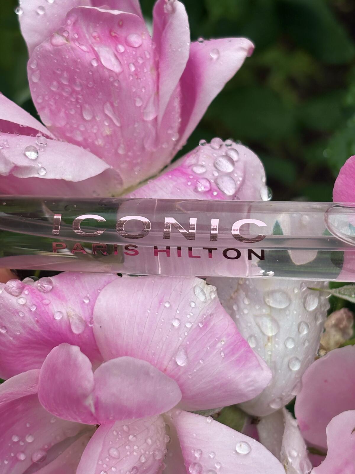 عطر ادکلن آیکانیک پاریس هیلتون - Iconic Paris Hilton - بررسی، قیمت و خرید