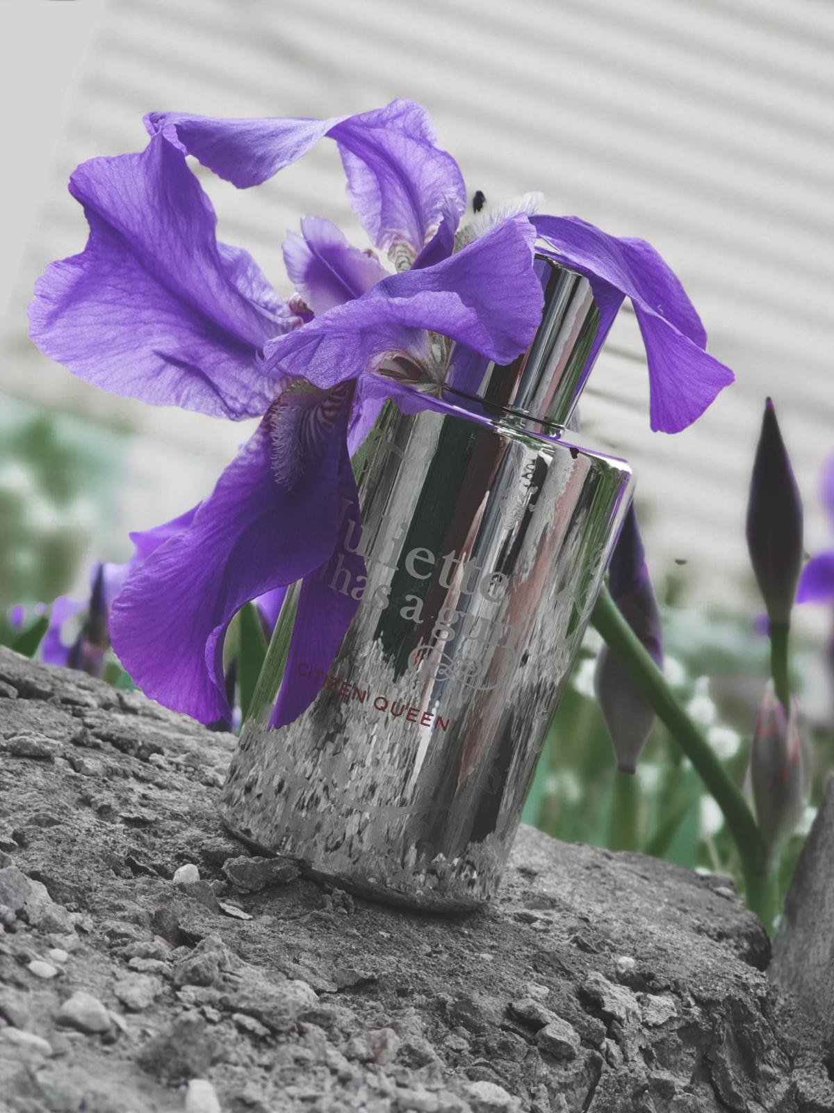 عطر ادکلن سیتیزن کویین ژولیت هز اِ گان - Citizen Queen Juliette Has A Gun - بررسی، قیمت و خرید