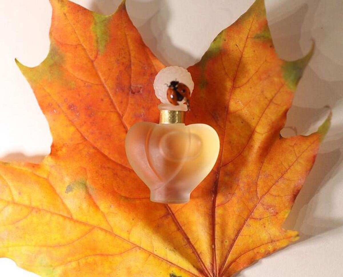 عطر ادکلن فروش نینا ریچی - Farouche Nina Ricci - بررسی، قیمت و خرید