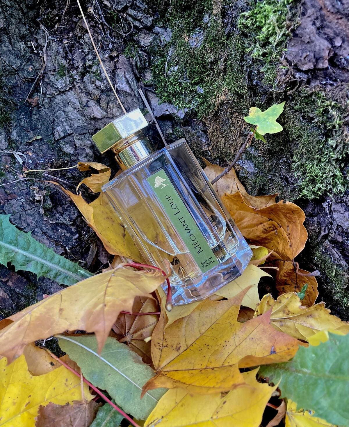 عطر ادکلن مشنت لوپ لارتیزان پارفومر - Mechant Loup L'Artisan Parfumeur - بررسی، قیمت و خرید