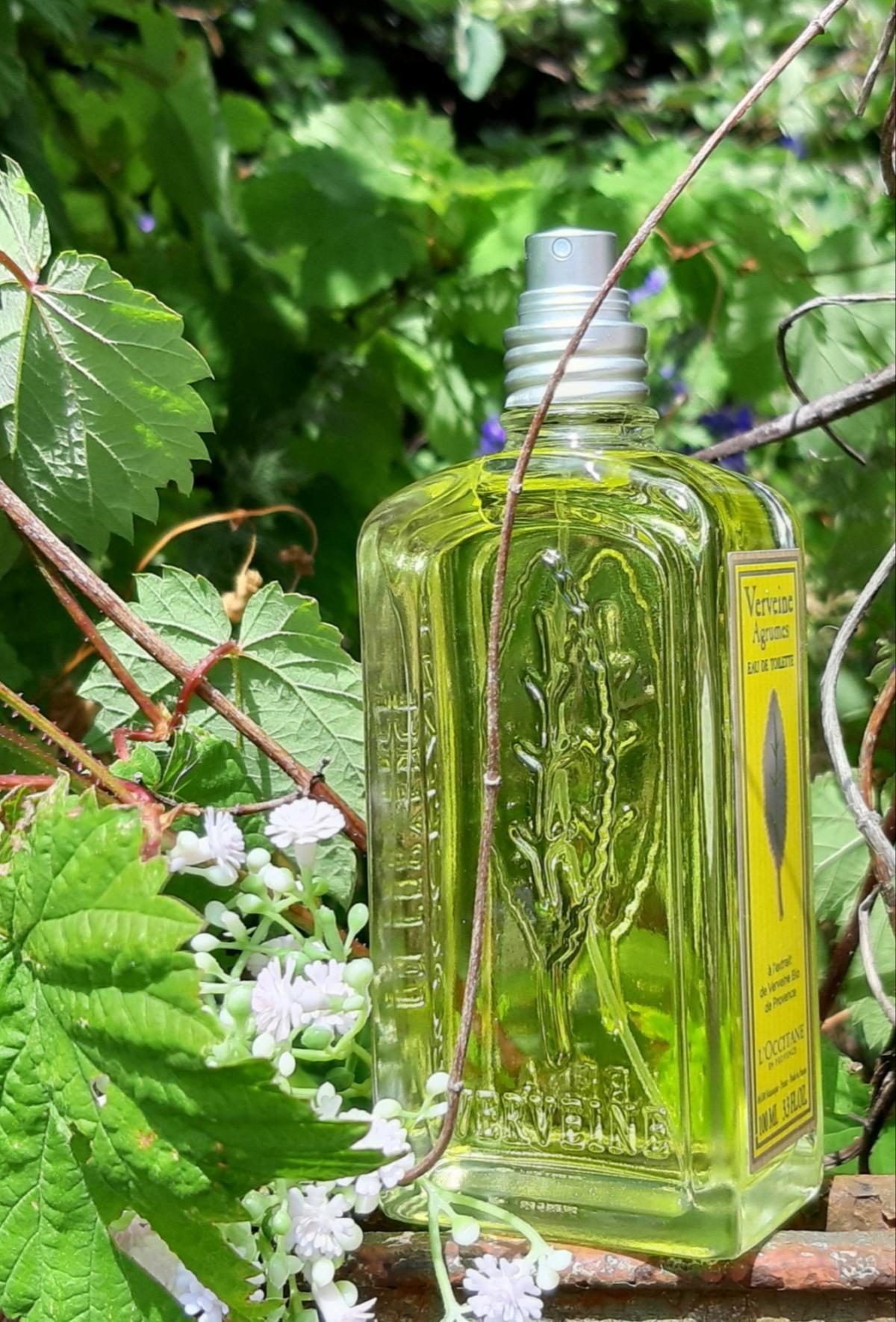عطر ادکلن ورون آگریم دو هزار و پانزده لوکسیتان - Verveine Agrumes 2015 L'Occitane en Provence - بررسی، قیمت و خرید
