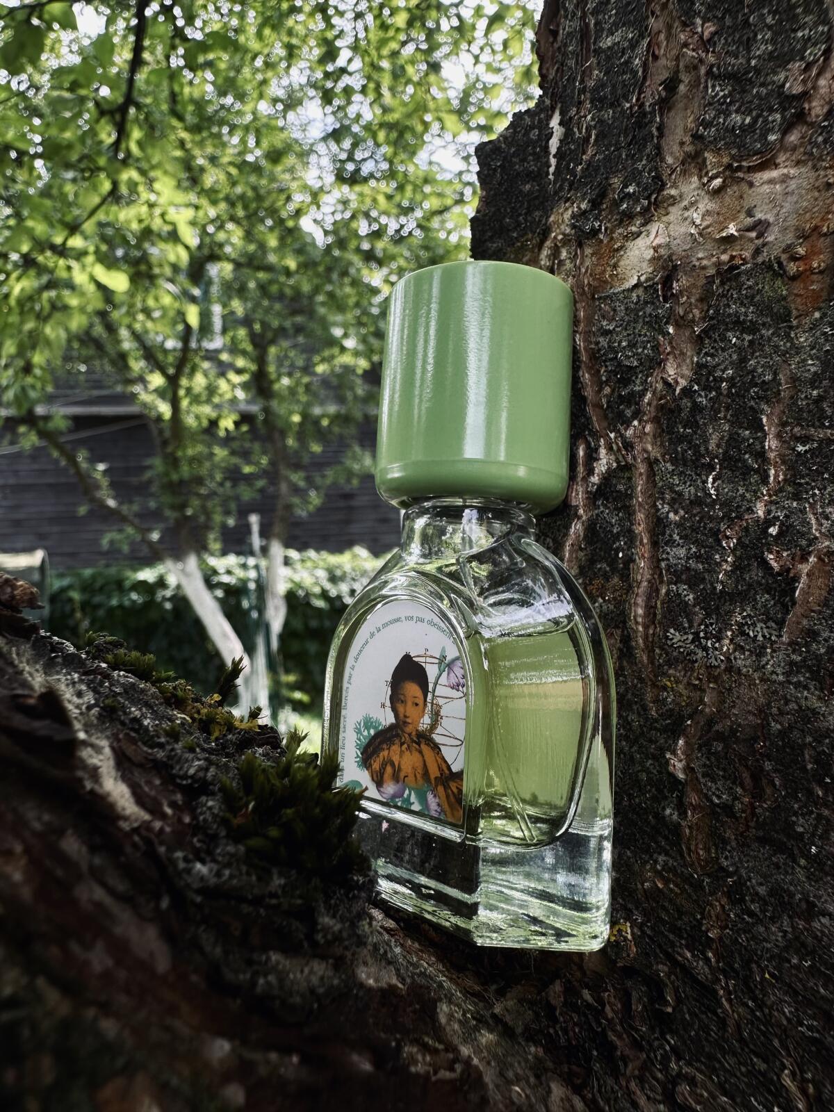 عطر ادکلن موس آراشیاما لجردن رترووه - Mousse Arashiyama Le Jardin Retrouve - بررسی، قیمت و خرید