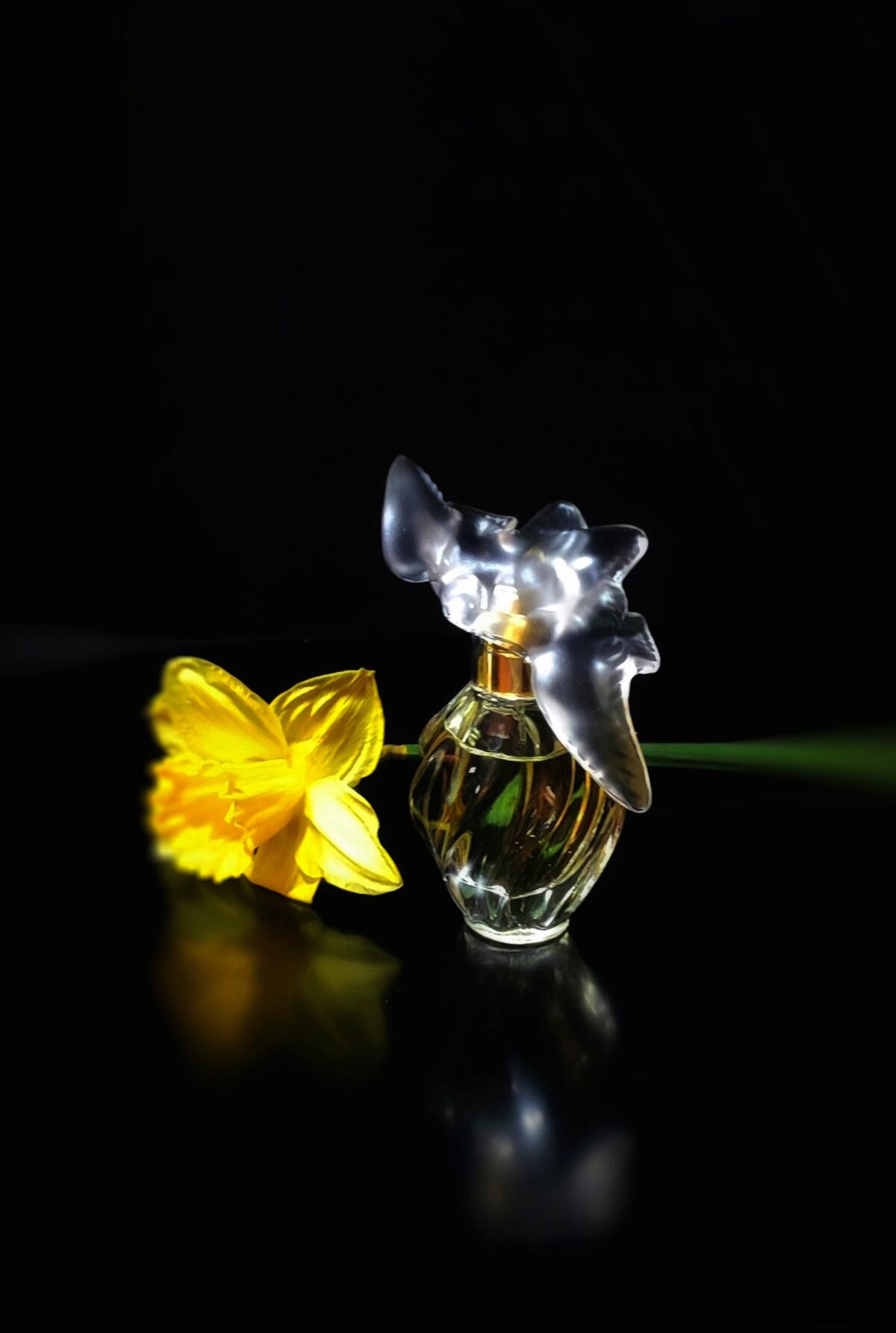 عطر ادکلن ل ایر دو تمو نینا ریچی - L'Air du Temps Eau de Parfum Nina Ricci - بررسی، قیمت و خرید