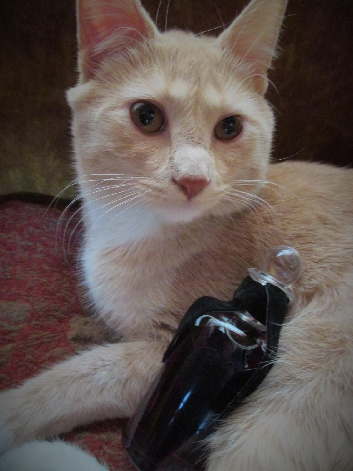 عطر ادکلن ال پی نامبر ناین پنها لیگنز - LP No. 9 Penhaligon's - بررسی، قیمت و خرید