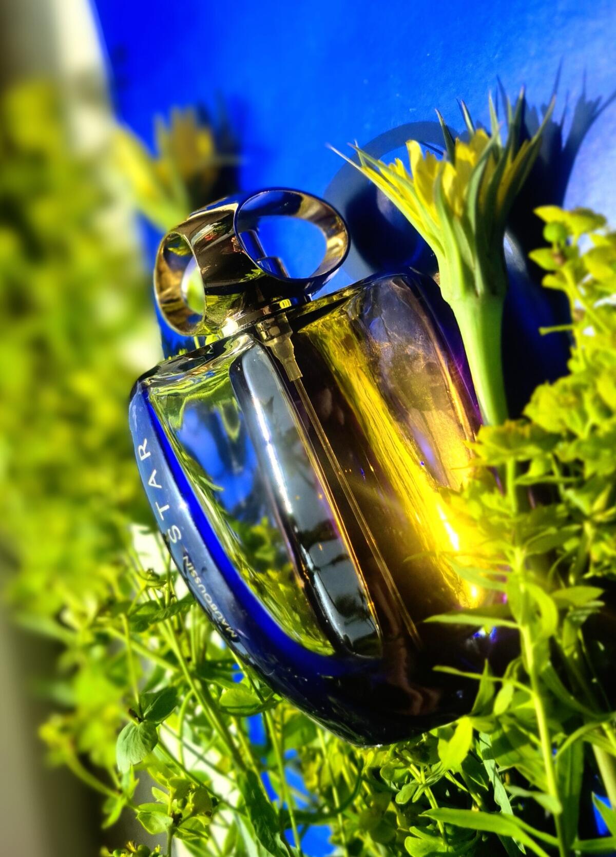 عطر ادکلن استار مابوسین - Star Mauboussin - بررسی، قیمت و خرید