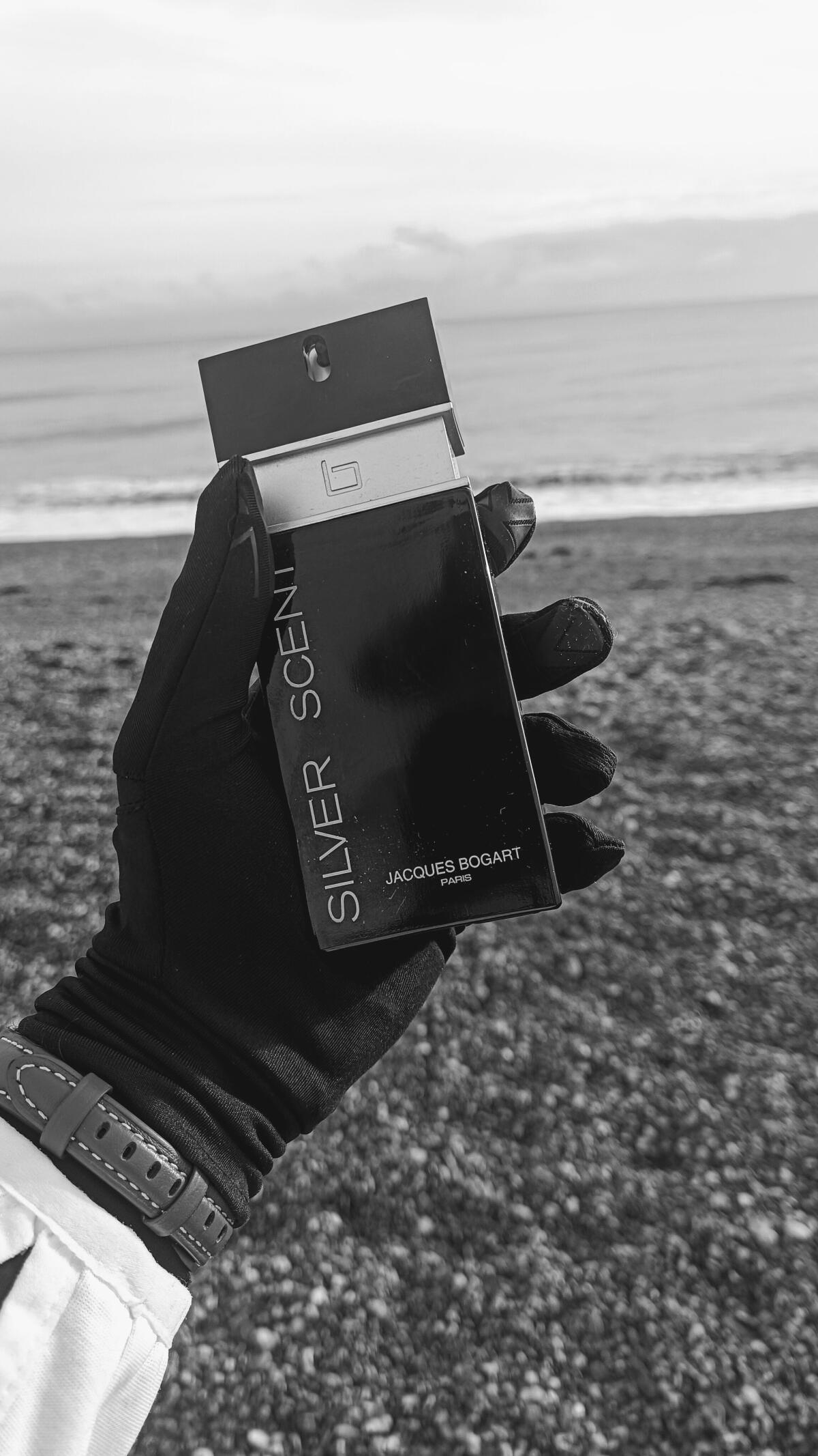 عطر ادکلن سیلور سنت ژاک بوگار - Silver Scent Jacques Bogart - بررسی، قیمت و خرید