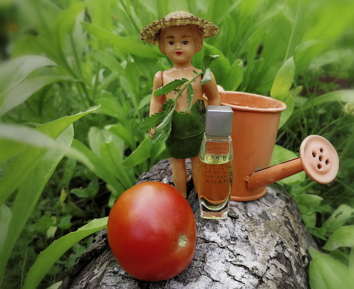 عطر ادکلن وات اباوْت آدام جوپ - What About Adam Joop! - بررسی، قیمت و خرید