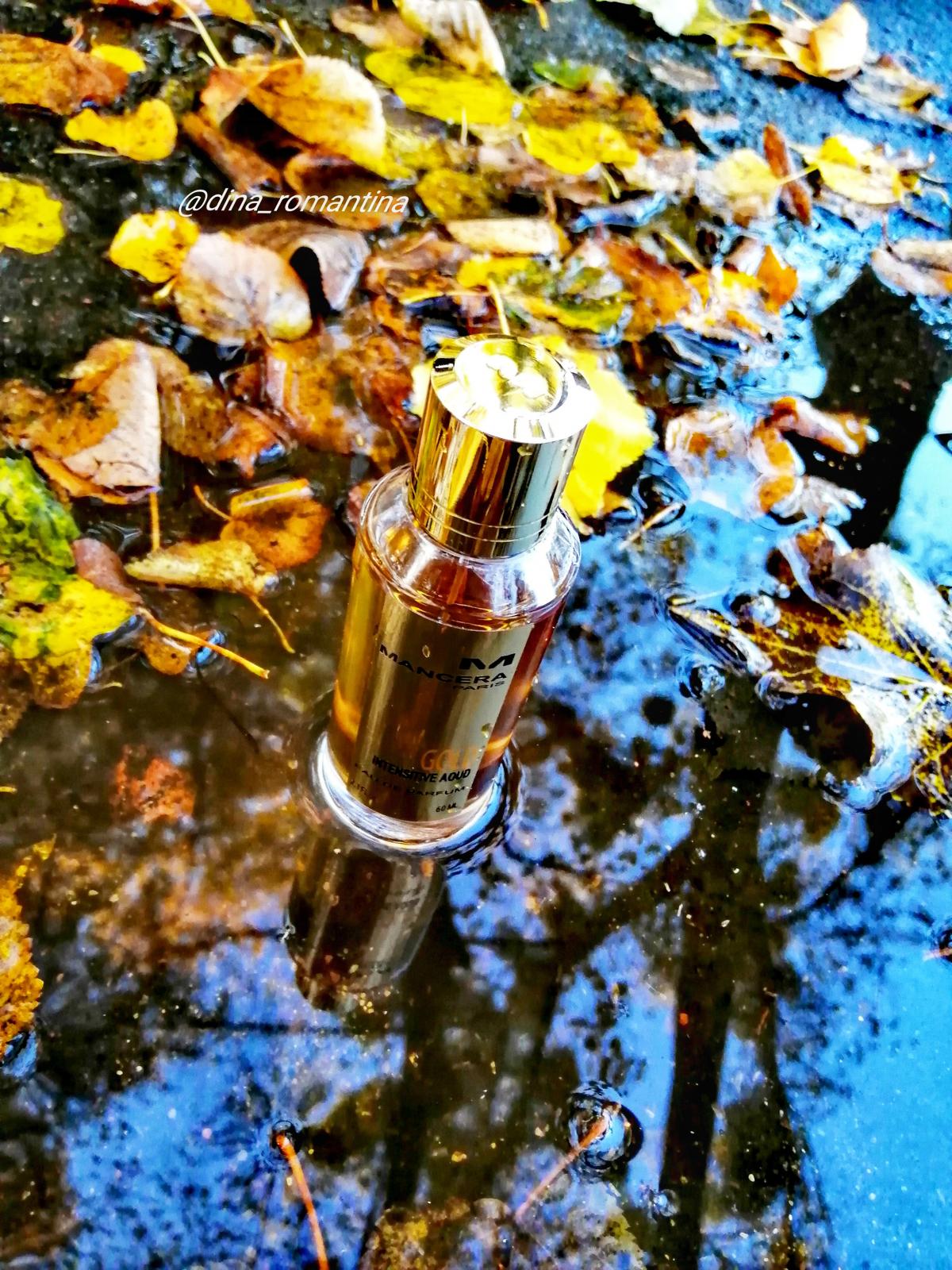 عطر ادکلن گلد اینتسِیو آود منسرا - Gold Intensive Aoud Mancera - بررسی، قیمت و خرید