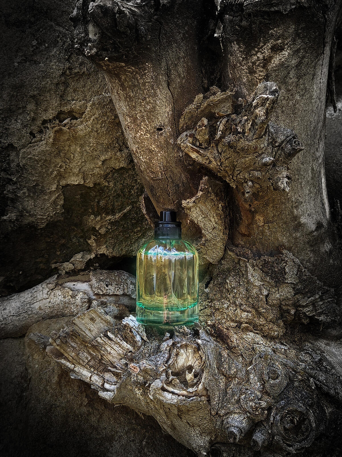 عطر ادکلن آلفا وودز لا مارتینا - Alpha Woods La Martina - بررسی، قیمت و خرید