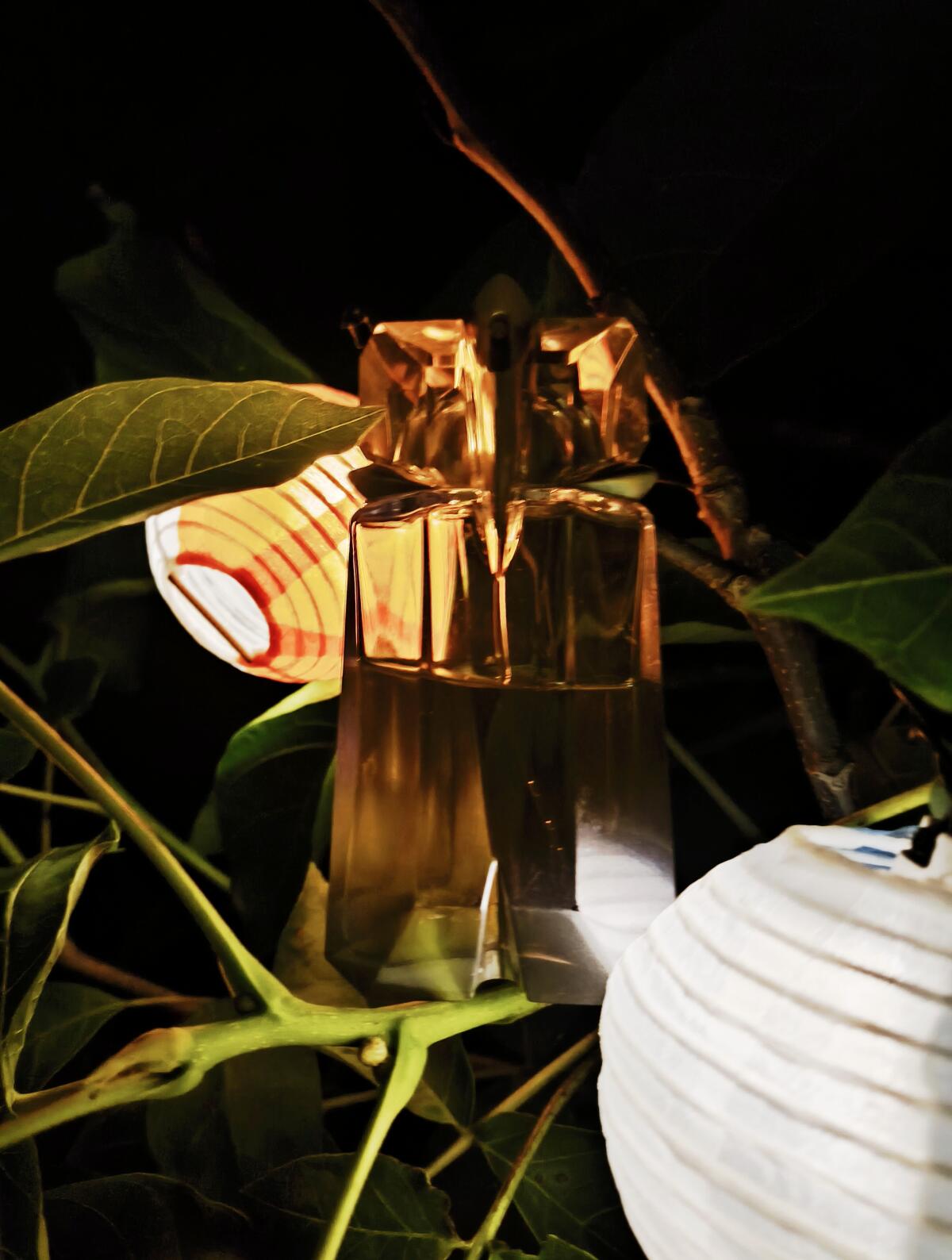 عطر ادکلن الیین آکوا شیک ۲۰۱۳ ماگلر - Alien Aqua Chic 2013 Mugler - بررسی، قیمت و خرید
