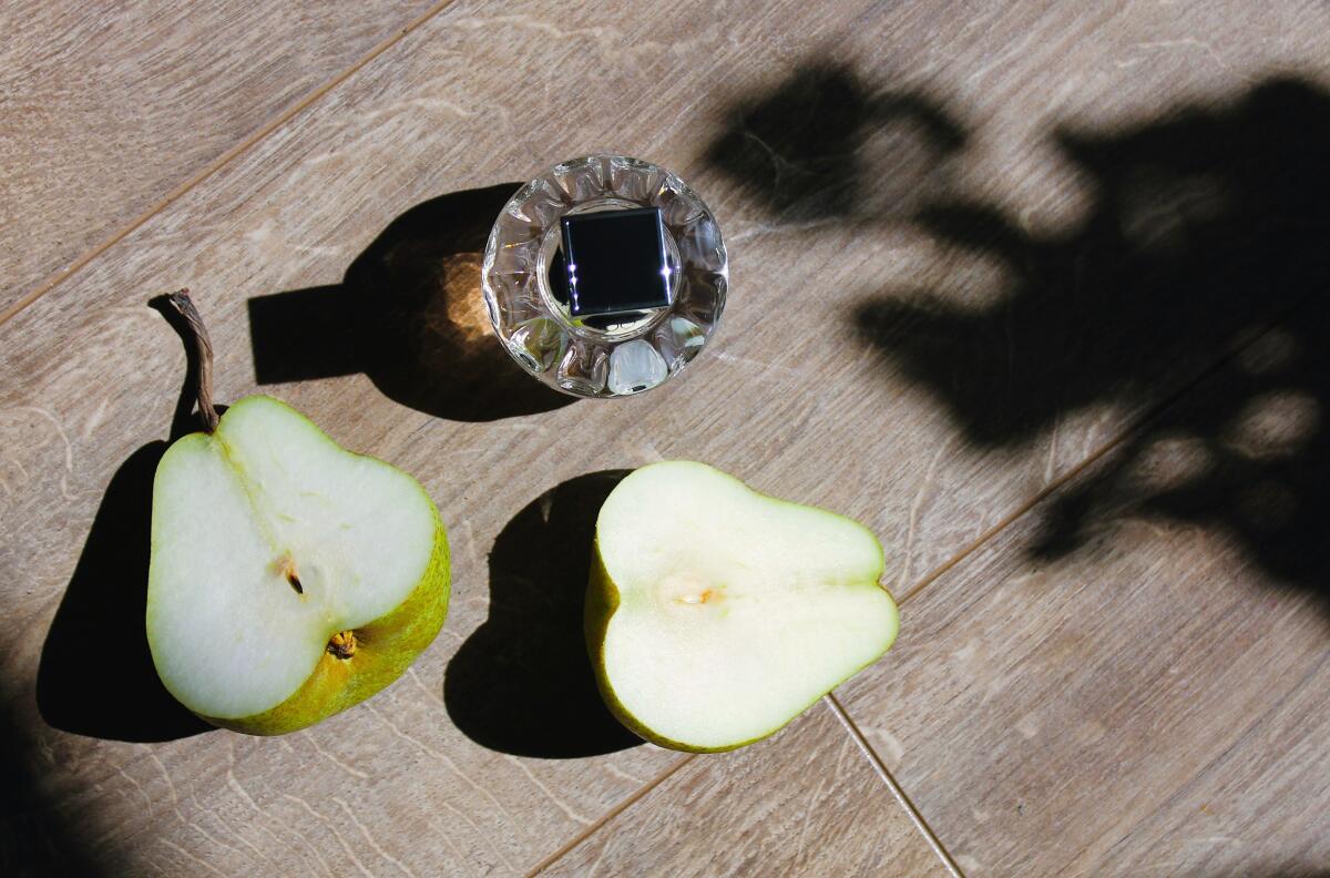 عطر ادکلن جیمی چو او دو تویلت جیمی چو - Jimmy Choo Eau de Toilette Jimmy Choo - بررسی، قیمت و خرید