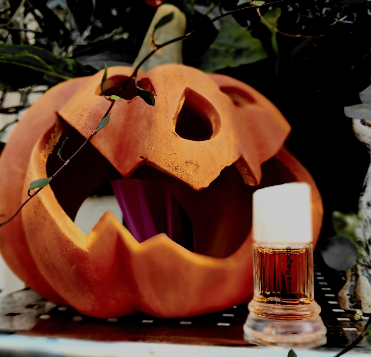 عطر ادکلن رُما لورا بیاجیوتی - Roma Laura Biagiotti - بررسی، قیمت و خرید