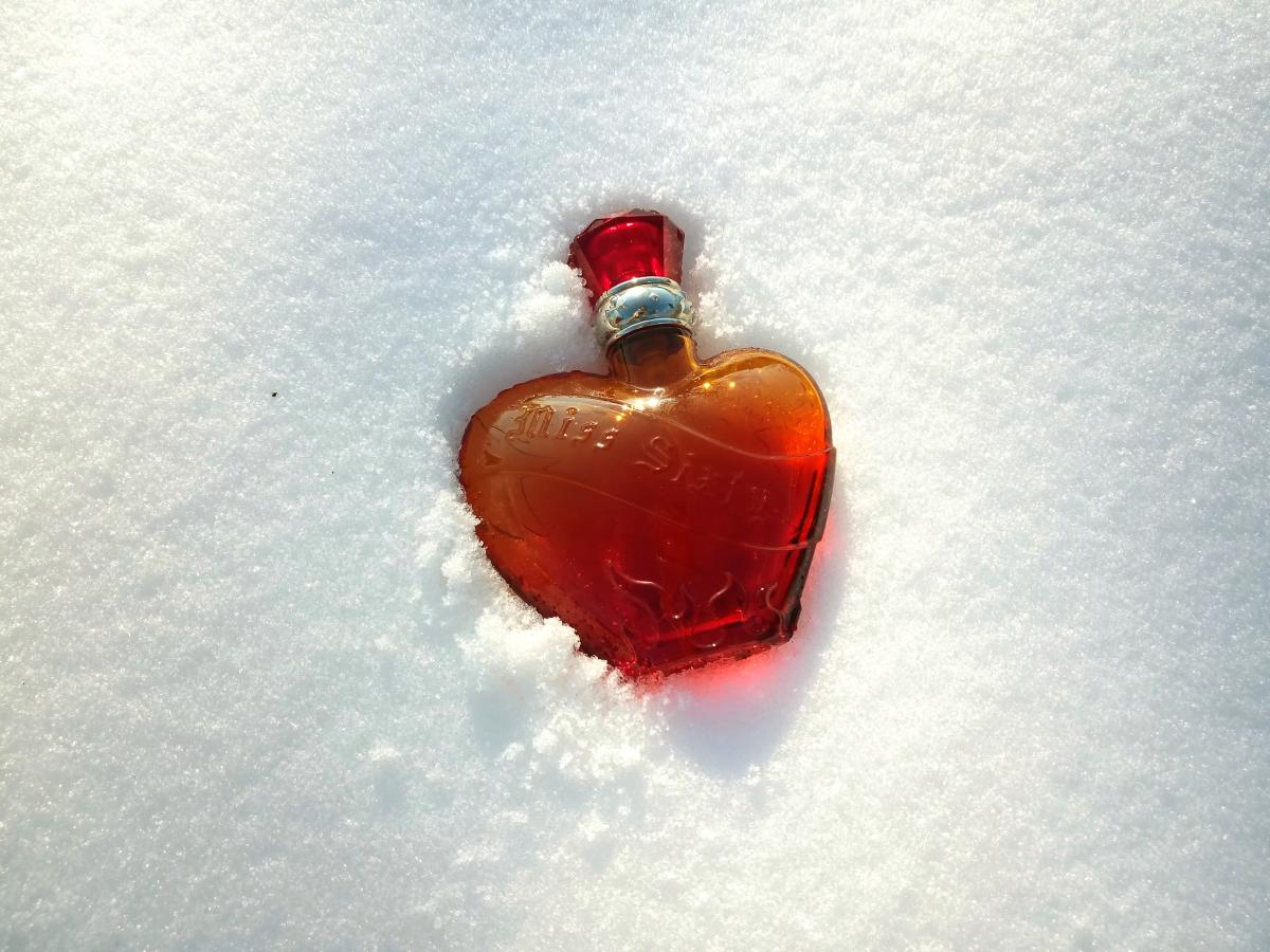 عطر ادکلن میس سیکستی راک میوس میس سیکستی - Miss Sixty Rock Muse Miss Sixty - بررسی، قیمت و خرید