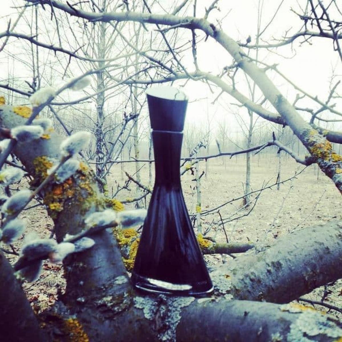 عطر ادکلن ژو دامور فلین کنزو - Jeu d'Amour Félin Kenzo - بررسی، قیمت و خرید