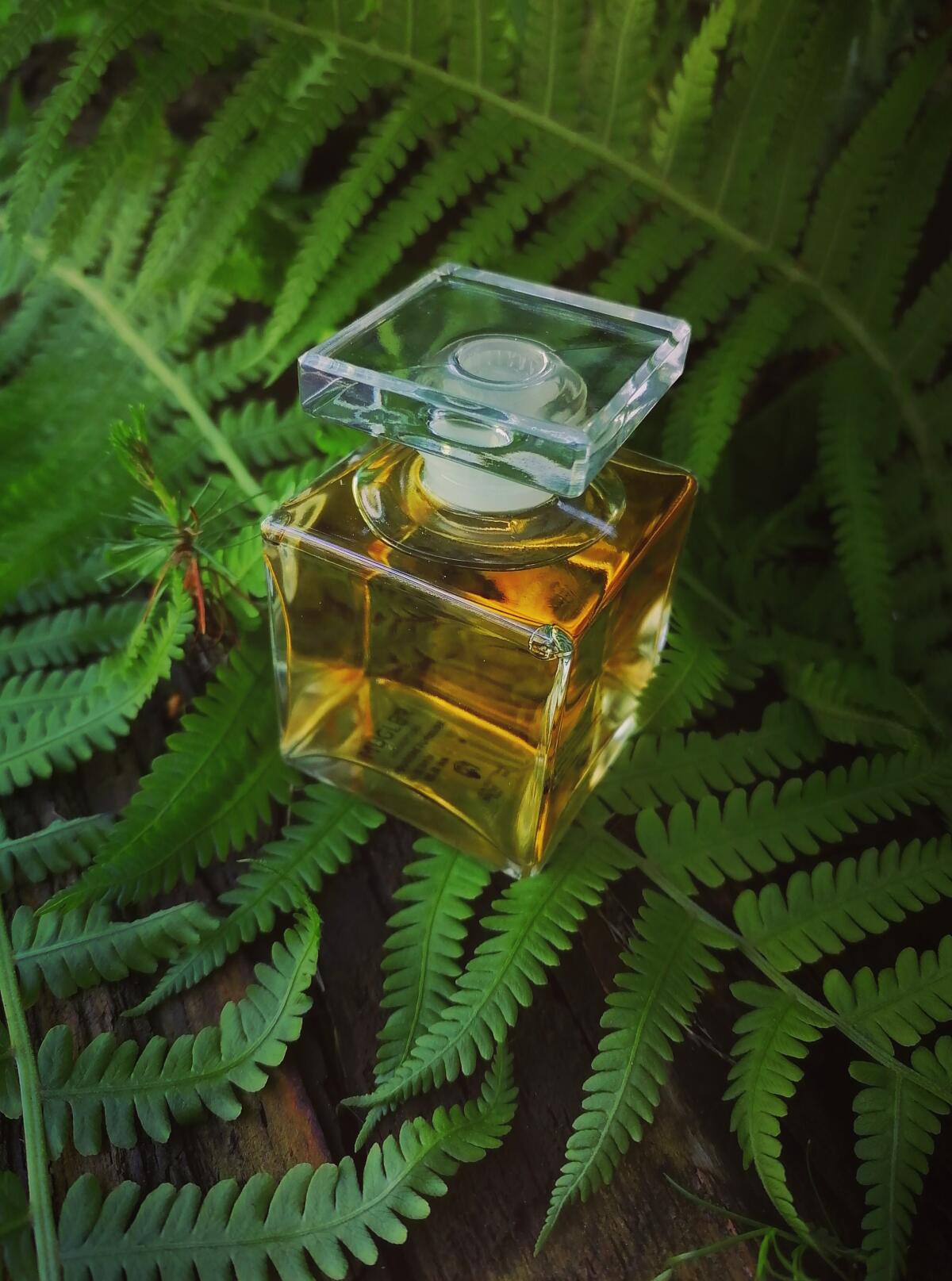 عطر ادکلن فوژر فوریوس ماگلر - Fougere Furieuse Mugler - بررسی، قیمت و خرید