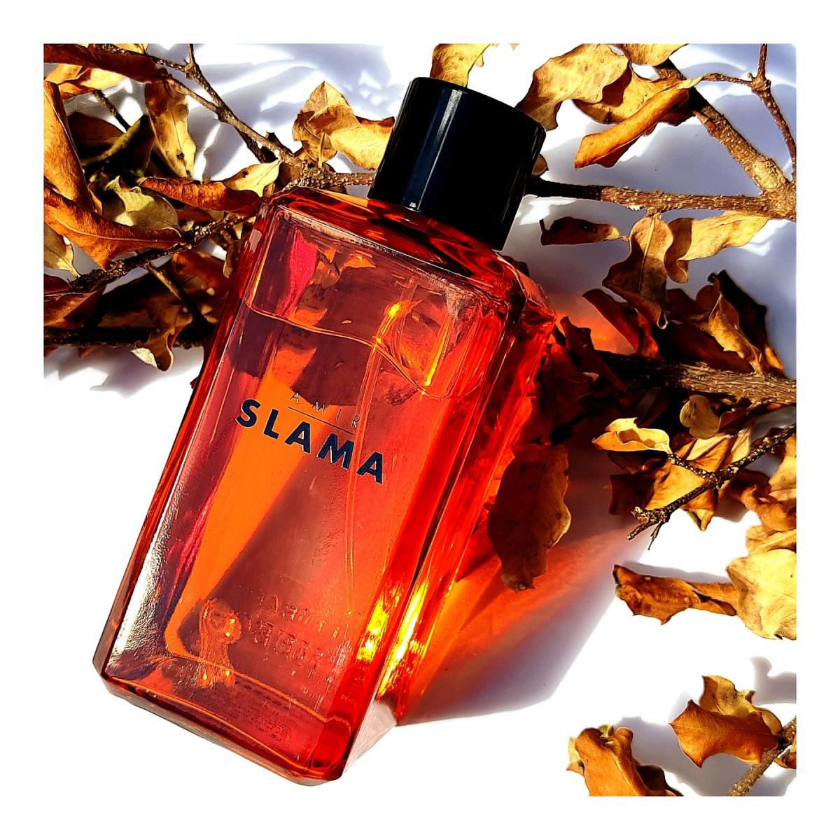 عطر ادکلن امیر اسلاما رئیس فیبو - Amir Slama Raiz Phebo - بررسی، قیمت و خرید
