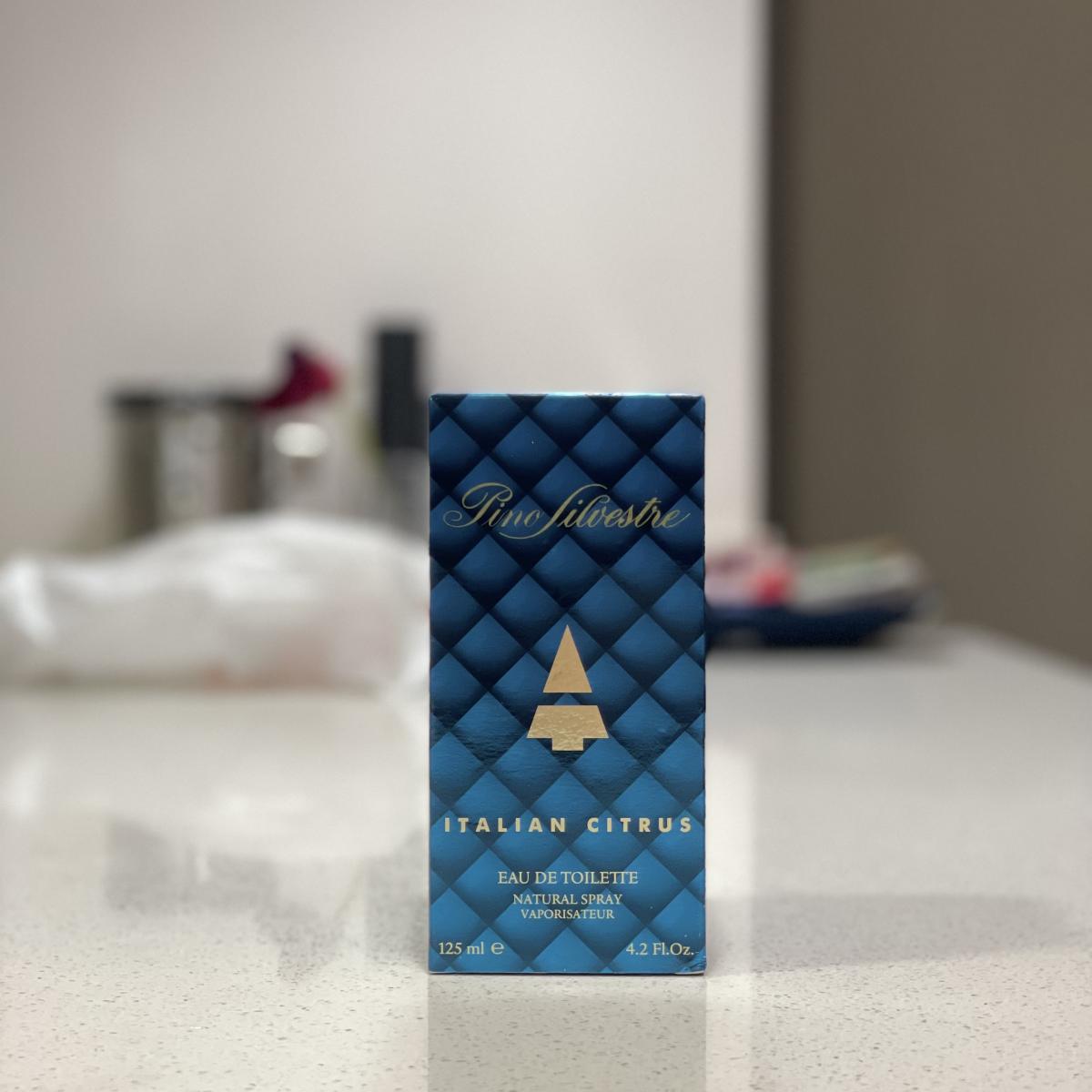 عطر ادکلن پینو سیلوستره مدیترانه‌و پینو سیلوستر - Pino Silvestre Mediterraneo Pino Silvestre - بررسی، قیمت و خرید