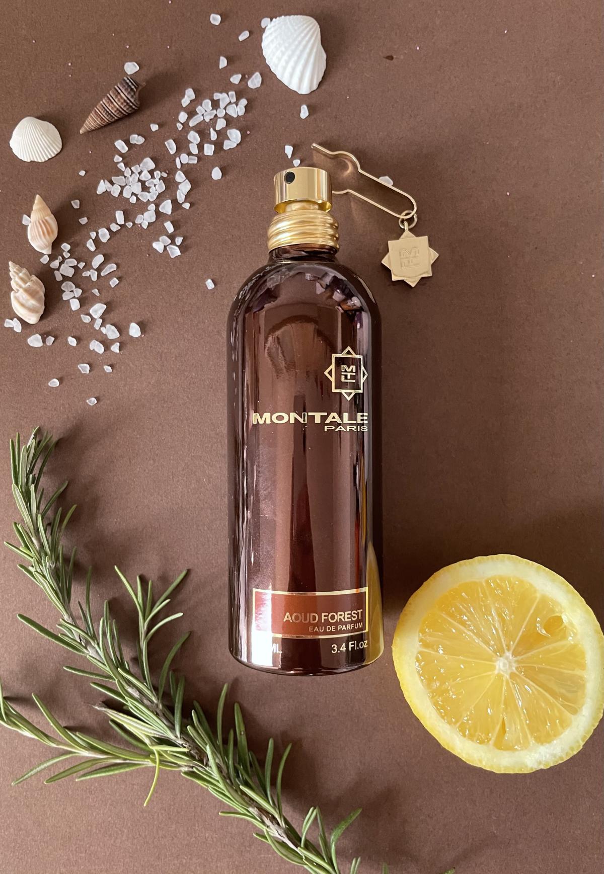 عطر ادکلن آود فورست مونتال - Aoud Forest Montale - بررسی، قیمت و خرید