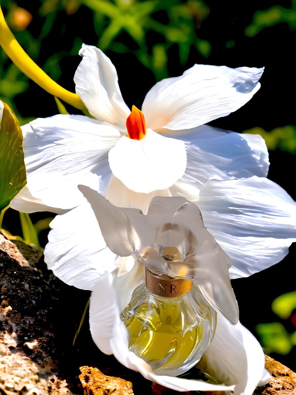 عطر ادکلن ل ایر دو تمو نینا ریچی - L'Air du Temps Eau de Parfum Nina Ricci - بررسی، قیمت و خرید