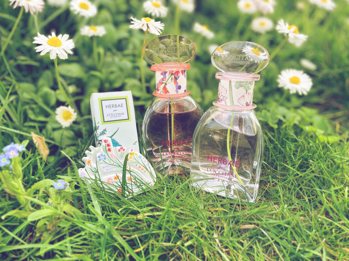عطر ادکلن هربا کلری سیج لوکسیتان - Herbae Clary Sage L'Occitane en Provence - بررسی، قیمت و خرید