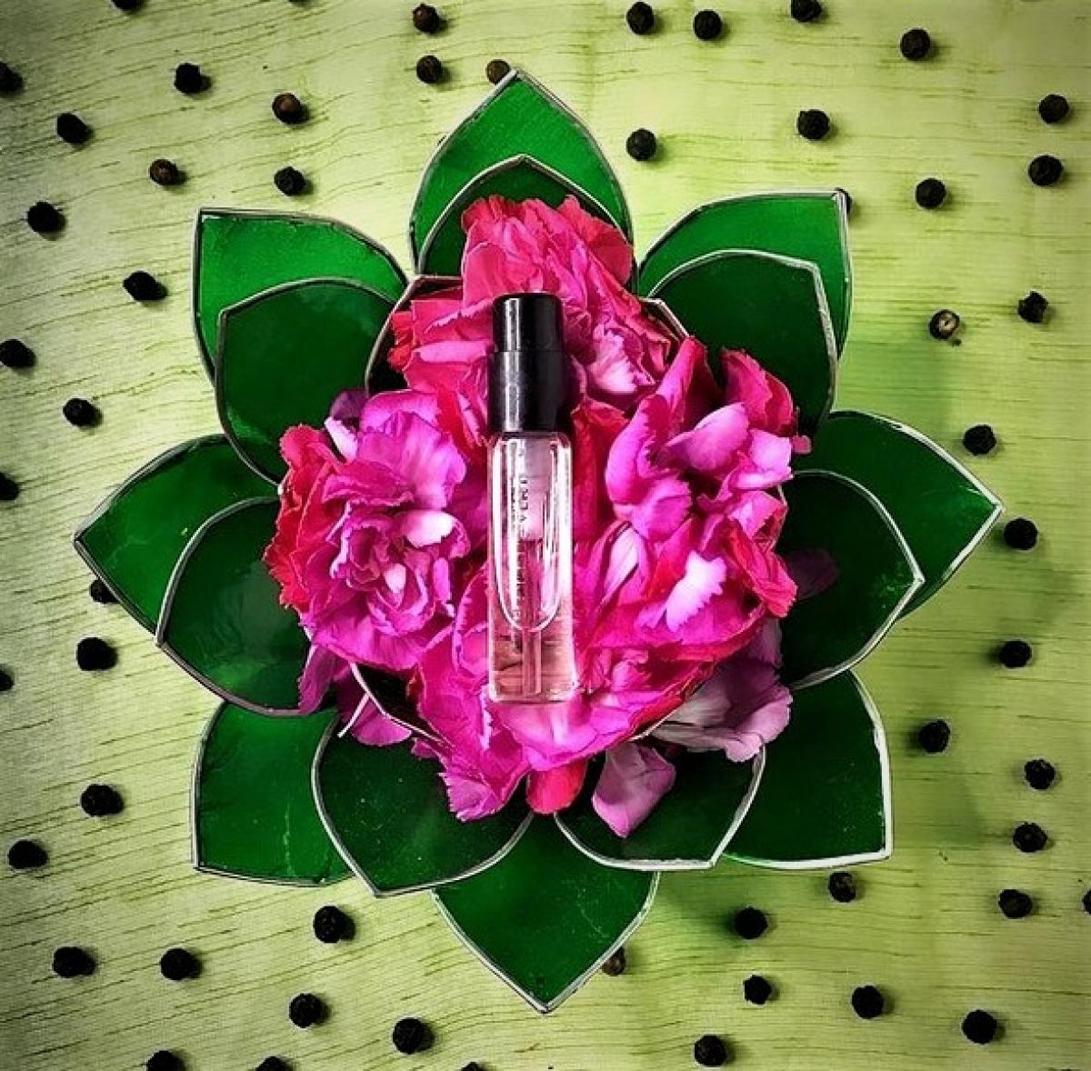 عطر ادکلن اِلُژ دو وِرت له پارفوم دو روزین - Eloge du Vert Les Parfums de Rosine - بررسی، قیمت و خرید