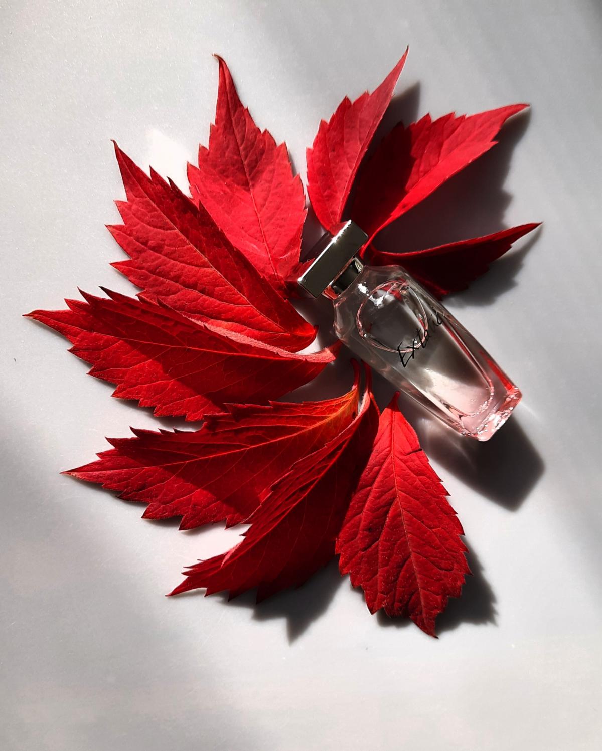 عطر ادکلن اگستاتیک او دو توالت پیر بالمان - Extatic Eau de Toilette Pierre Balmain - بررسی، قیمت و خرید