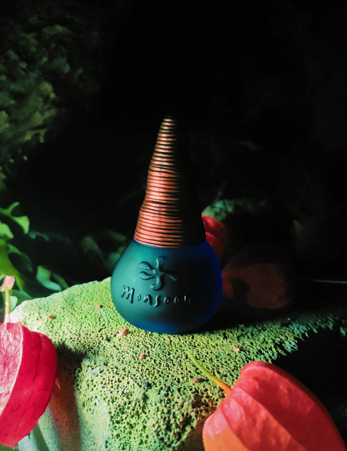 عطر ادکلن مانسون مانسون - Monsoon (original) Monsoon - بررسی، قیمت و خرید