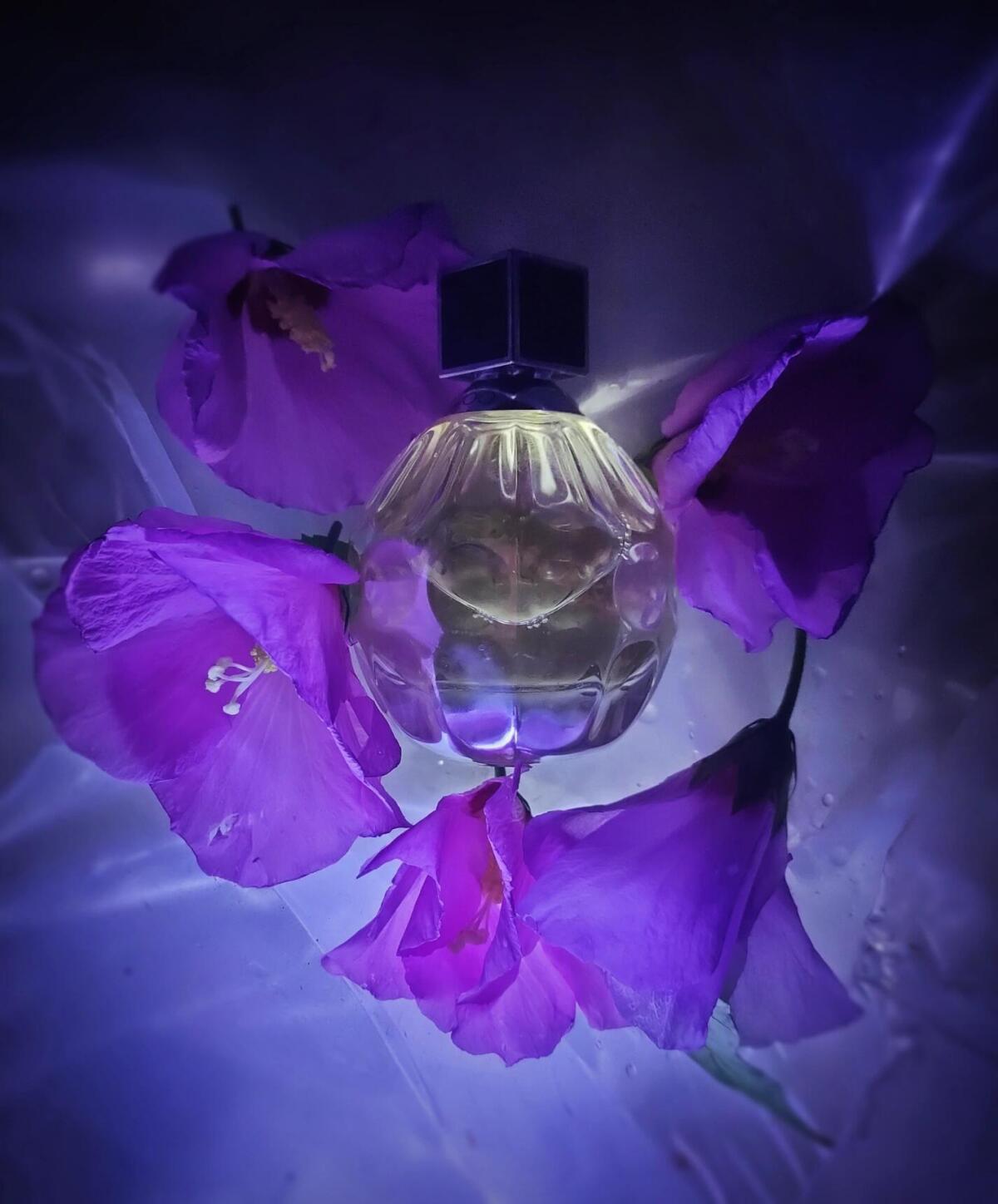عطر ادکلن جیمی چو او دو تویلت جیمی چو - Jimmy Choo Eau de Toilette Jimmy Choo - بررسی، قیمت و خرید