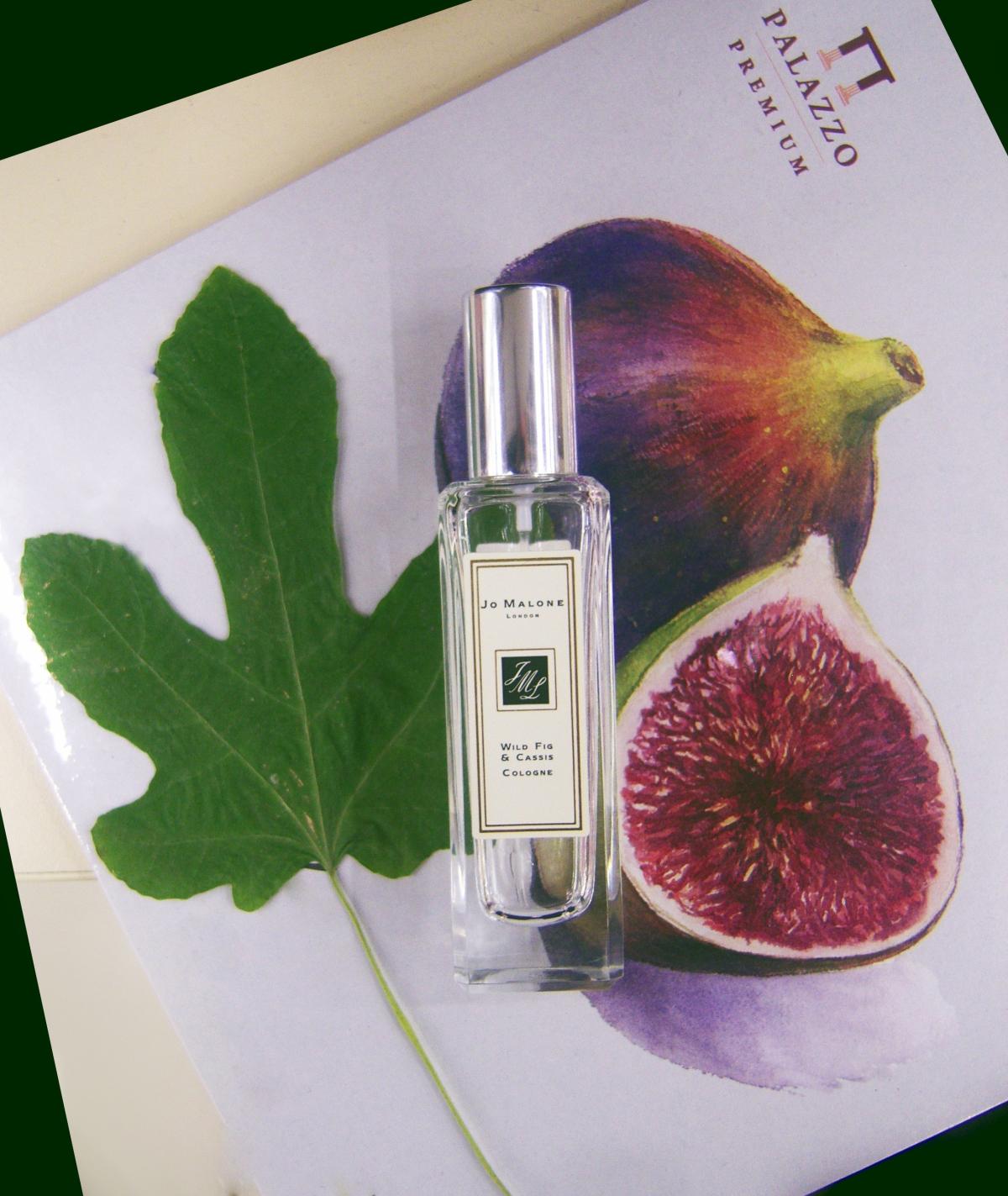 عطر ادکلن وایلد فیگ اند کاسیس جو مالون لندن - Wild Fig & Cassis Jo Malone London - بررسی، قیمت و خرید