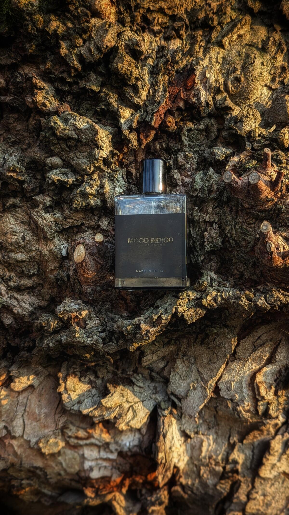 عطر ادکلن مود ایندیگو ماث اند ربیت پرفیومز - Mood Indigo Moth and Rabbit Perfumes - بررسی، قیمت و خرید