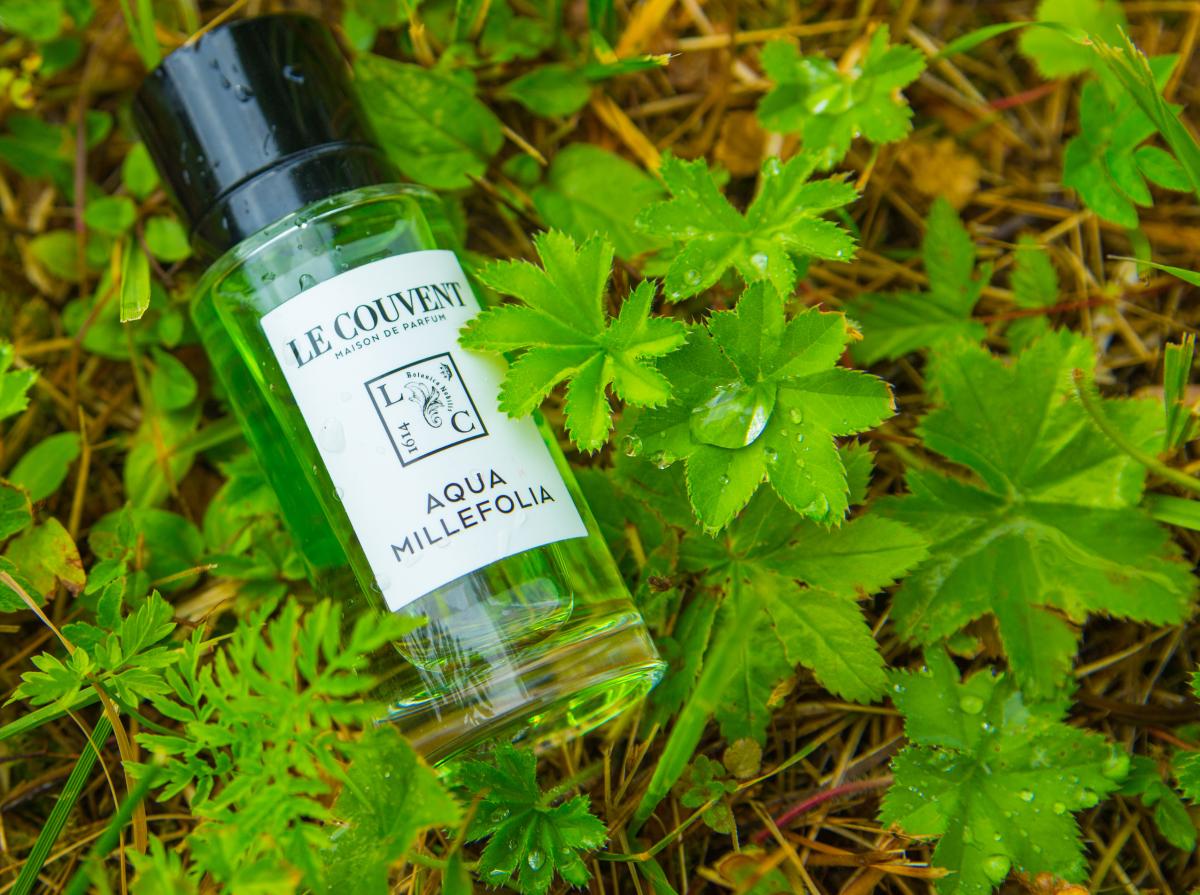 عطر ادکلن آکوا میلِفولیا لو کوونت مزون دو پارفوم - Aqua Millefolia Le Couvent Maison de Parfum - بررسی، قیمت و خرید