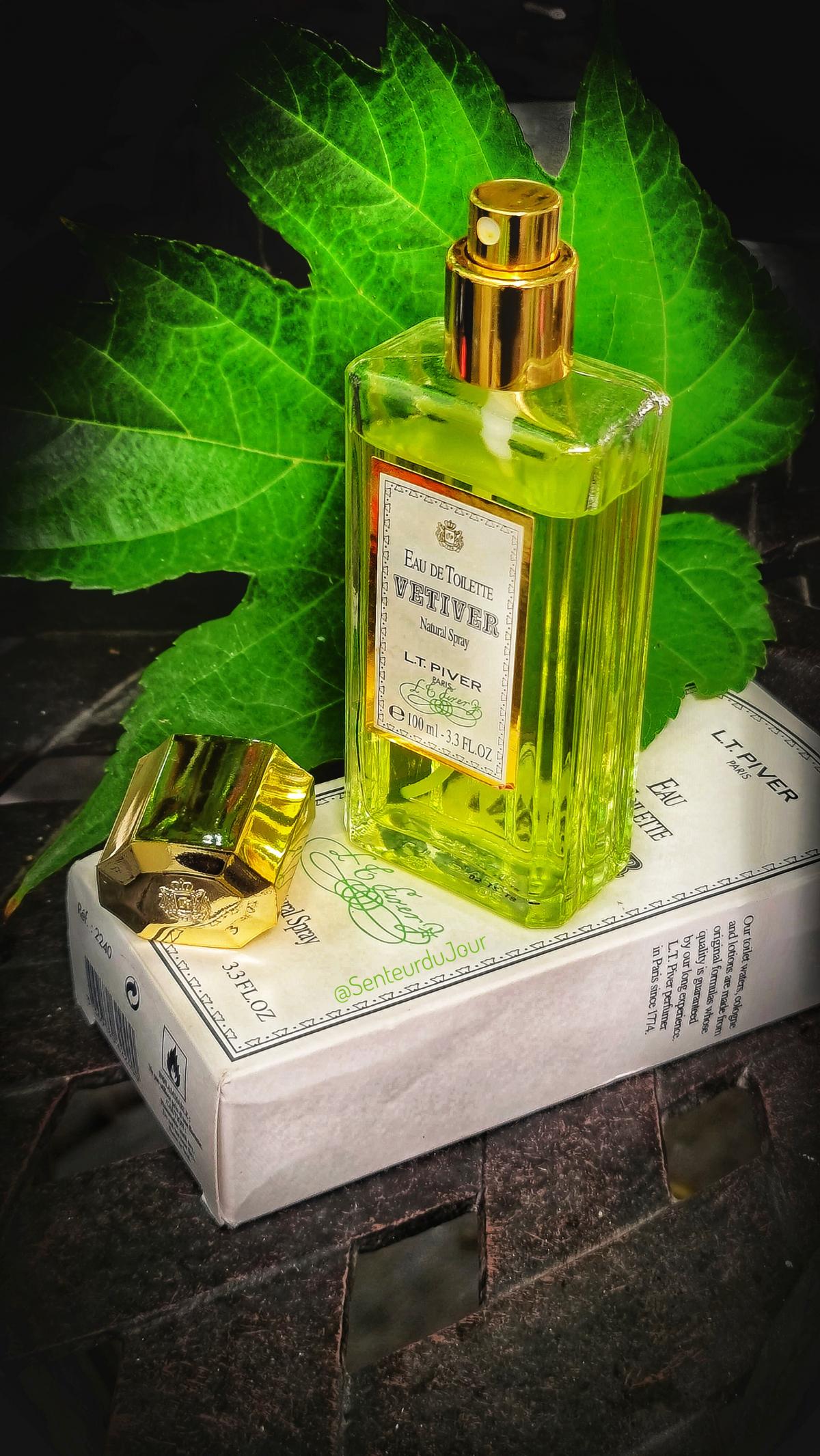 عطر ادکلن وتیور اِل تی پیور - Vetiver L.T. Piver - بررسی، قیمت و خرید
