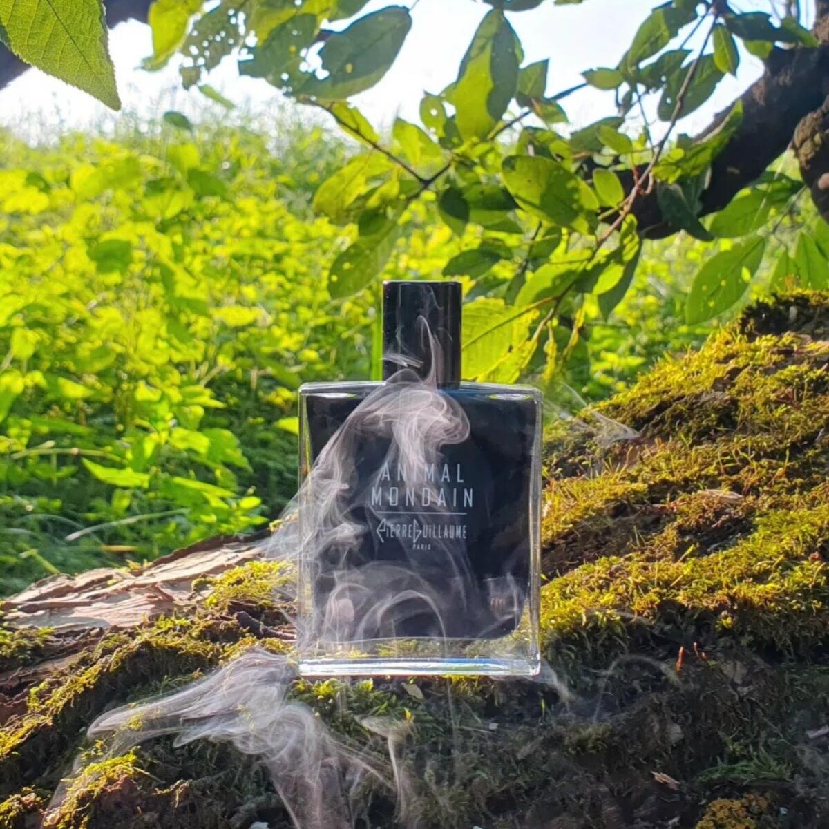 عطر ادکلن آنیمال موندین پیر گیوم پاریس - Animal Mondain Pierre Guillaume Paris - بررسی، قیمت و خرید