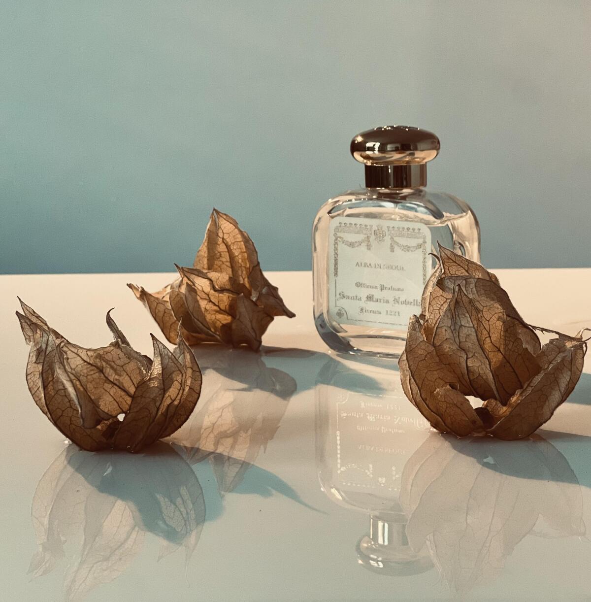 عطر ادکلن آلبا دی سئول سانتا ماریا نوولا - Alba di Seoul Santa Maria Novella - بررسی، قیمت و خرید