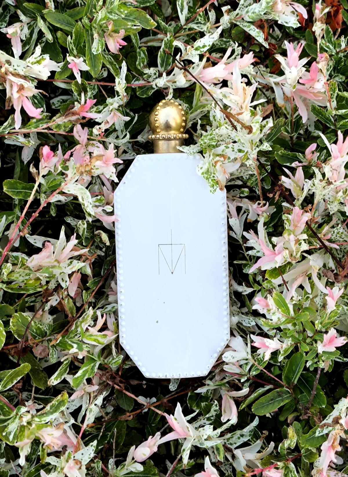 عطر ادکلن ترود ار در مدونا - Truth or Dare Madonna - بررسی، قیمت و خرید