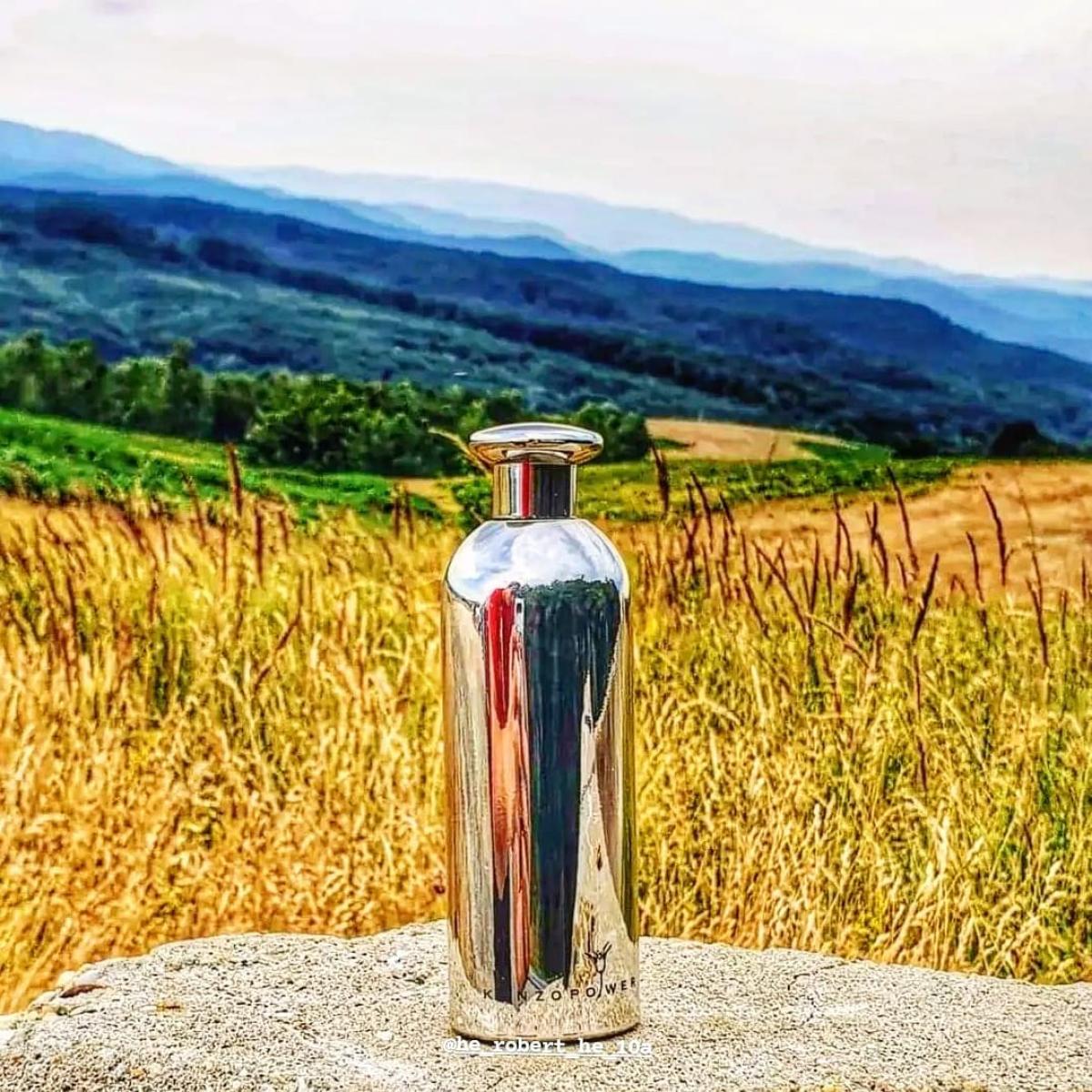 عطر ادکلن پاور کنزو - Power Kenzo - بررسی، قیمت و خرید