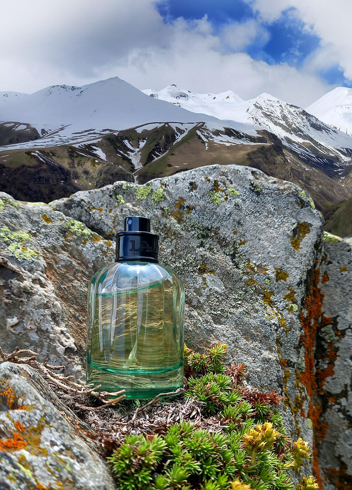 عطر ادکلن آلفا وودز لا مارتینا - Alpha Woods La Martina - بررسی، قیمت و خرید
