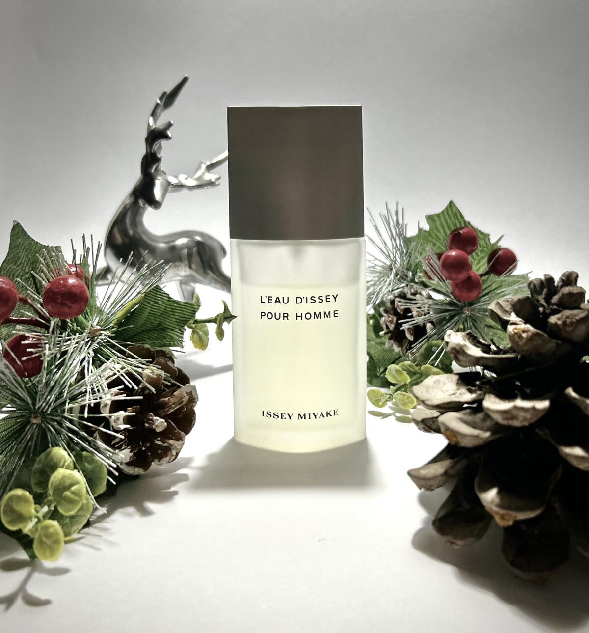 عطر ادکلن لو د ایسه پور هوم ایسه میاکه - L'Eau d'Issey Pour Homme Issey Miyake - بررسی، قیمت و خرید