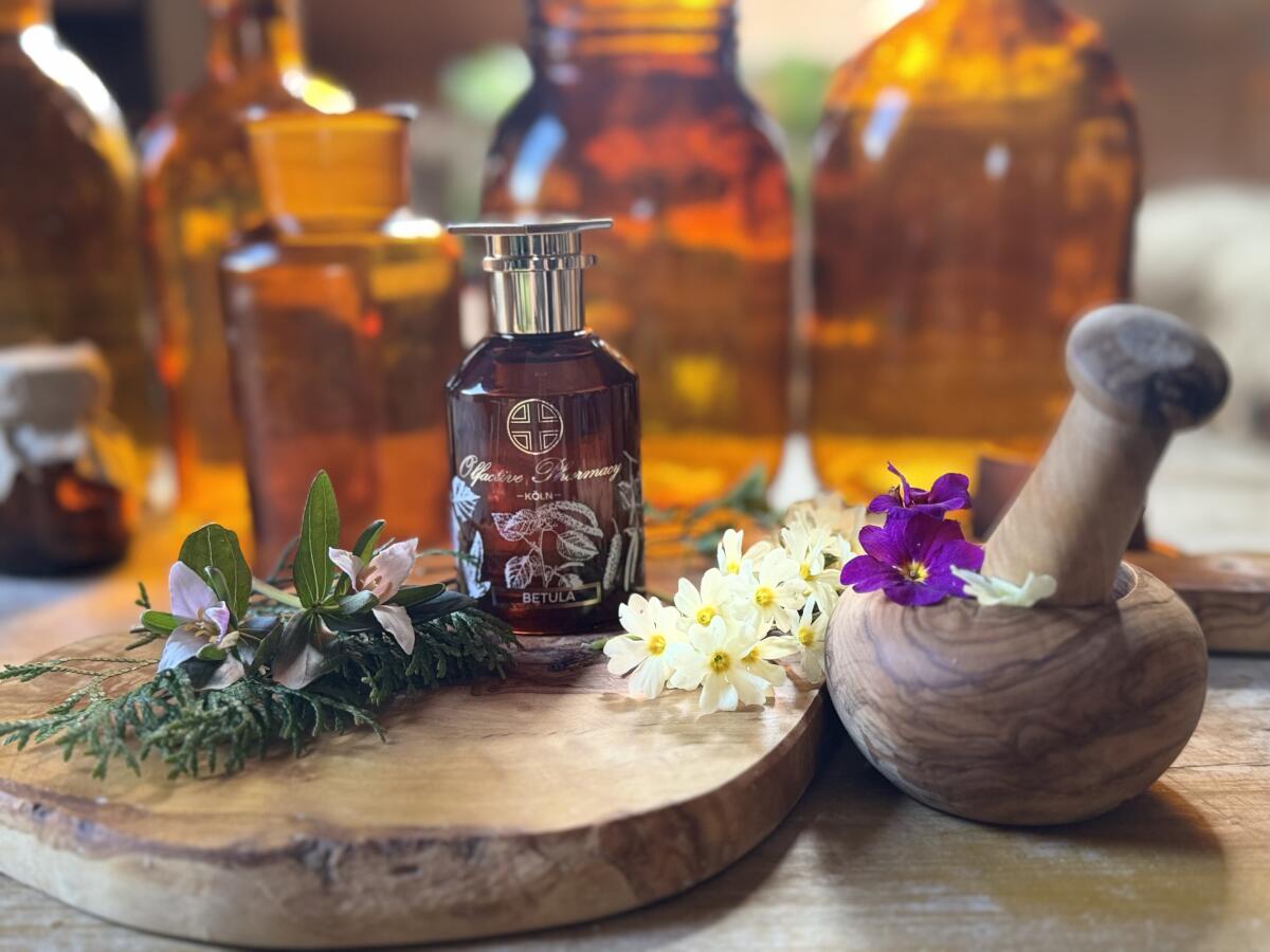 عطر ادکلن بتولا اولفکتیو فارماسی - Betula Olfactive Pharmacy - بررسی، قیمت و خرید